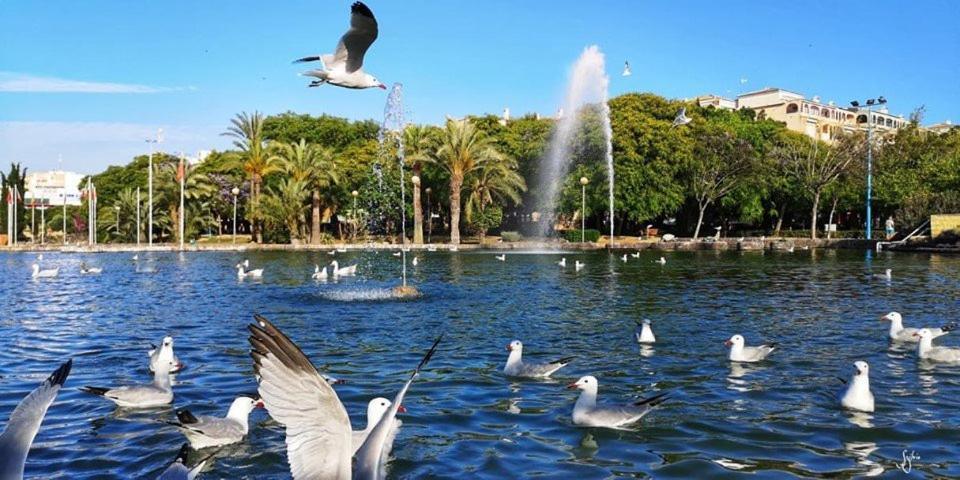 Torrevieja Experience Atico 1ª Linea 아파트 외부 사진
